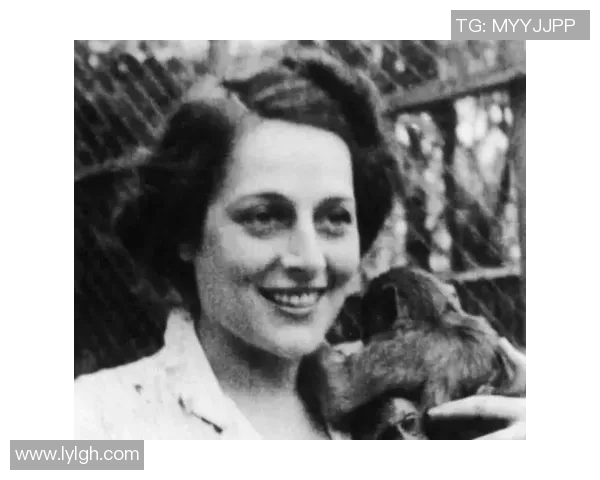 荷兰足球明星的璀璨星辰与他们的传奇故事探秘